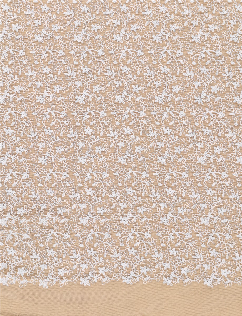 Cotton Thread Embroidery on Sheer Tulle - Infiminiti - Ivoire clair Stragier - 135 cm