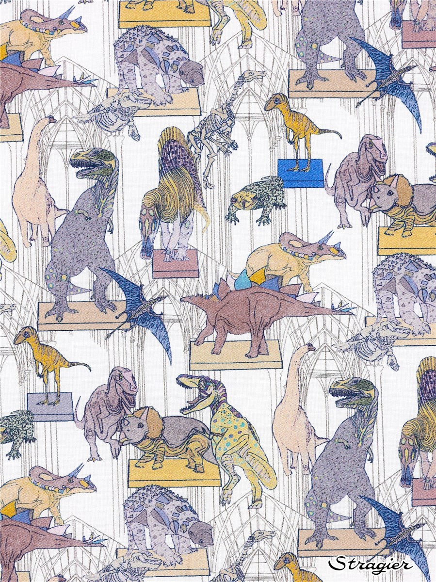 Liberty Tana Lawn BIO - Claws Roars and Dinosaurs - Pierre et galets
