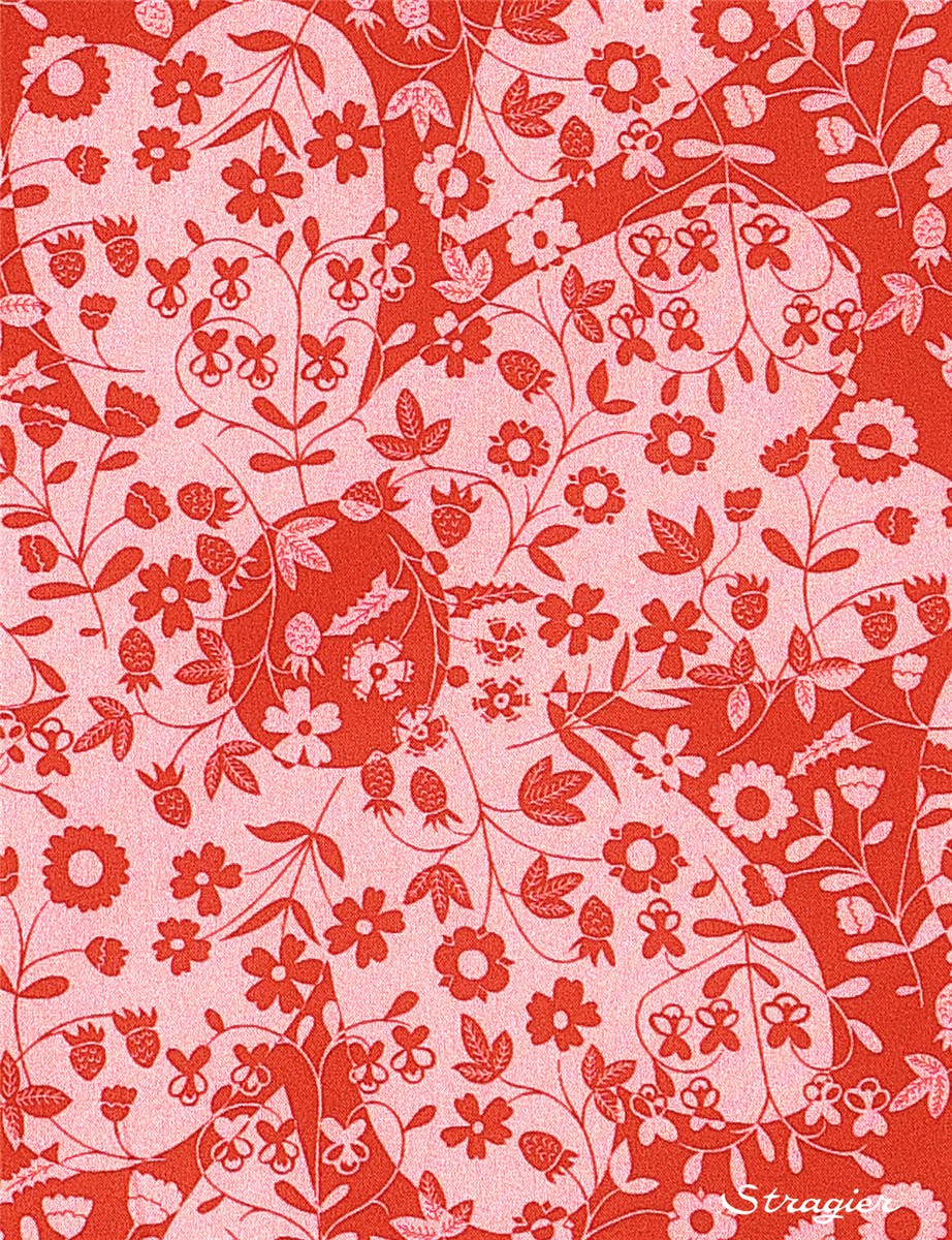 Liberty Tana Lawn - Mirabelle mono - Brique rose