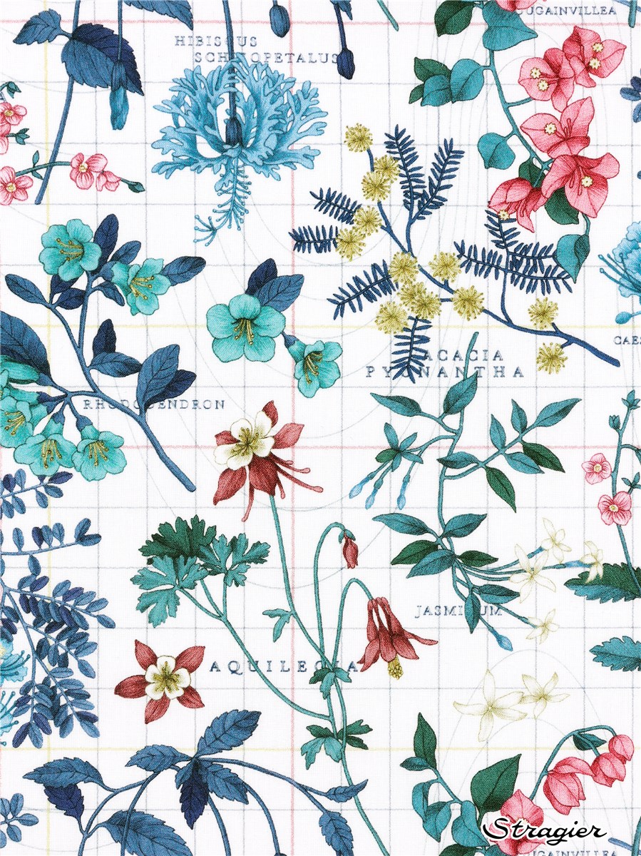 Liberty Tana Lawn - Botanist Journey - Canard