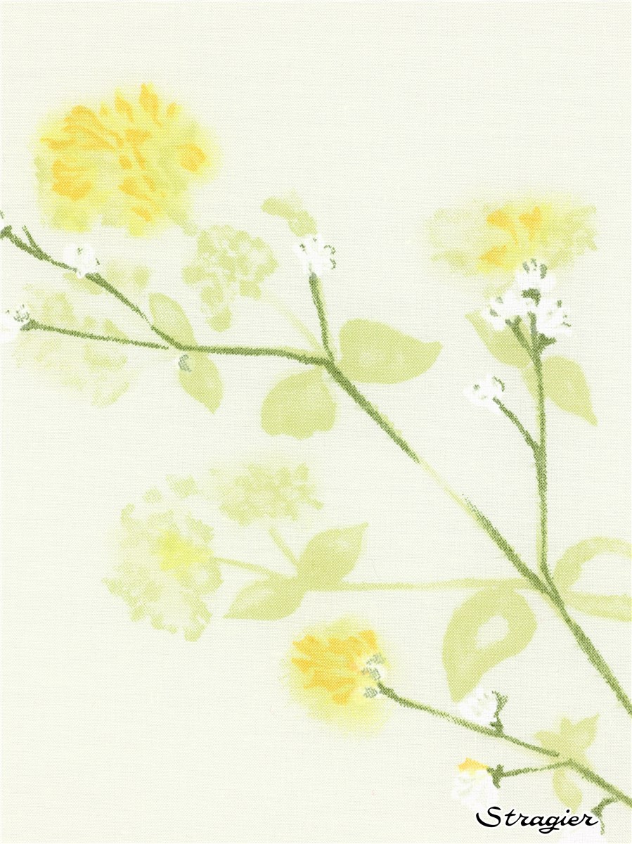 Batiste de Lawn - Hibiscus - Vanille-Tilleul 