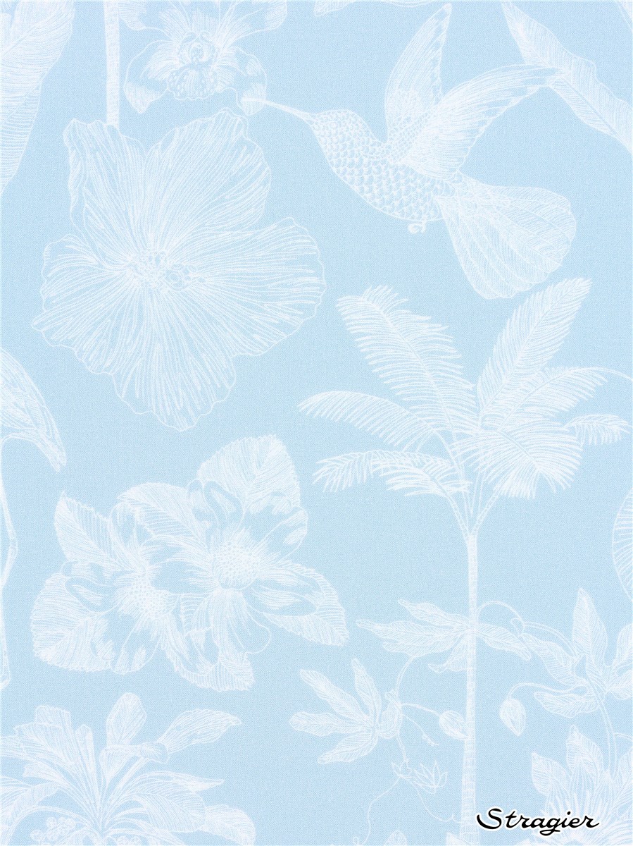 Liberty Tana Lawn - Darwin's Voyage - Ciel