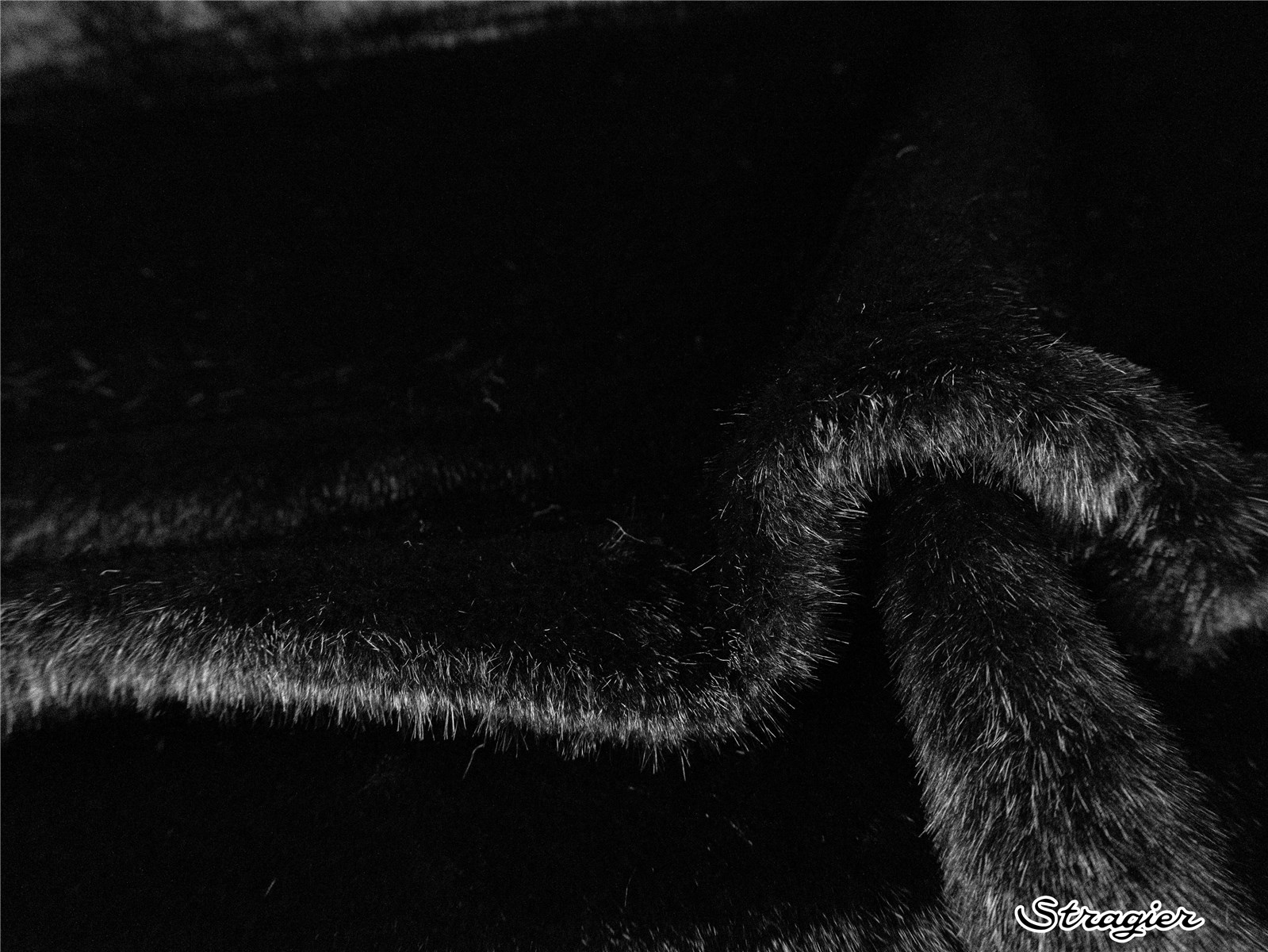 Fausse Fourrure - 14 mm - uni - Noir 